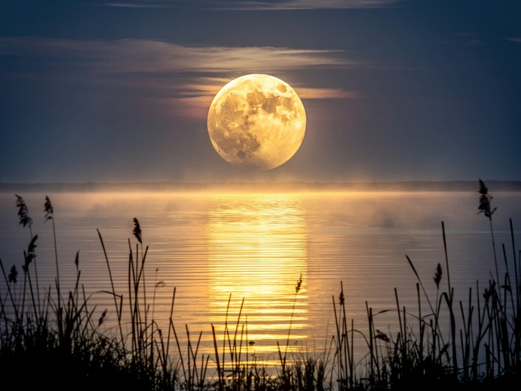 Sturgeon Moon August 2026: Vollmond der Fülle